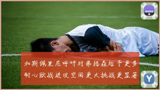 加斯佩里尼呼吁对弗格森给予更多耐心欧战进攻空间更大挑战更显著