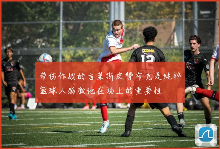 带伤作战的吉莱斯皮赞布克是纯粹篮球人感激他在场上的重要性