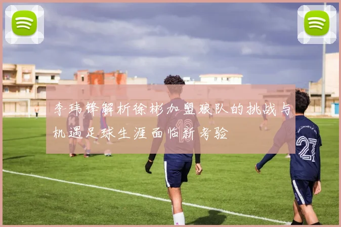 李玮锋解析徐彬加盟狼队的挑战与机遇足球生涯面临新考验