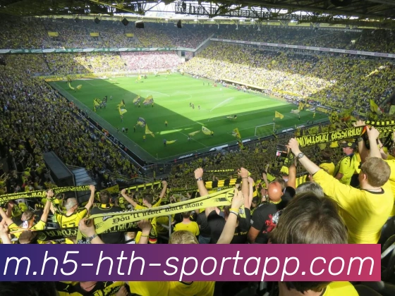 华体会体育发展历程